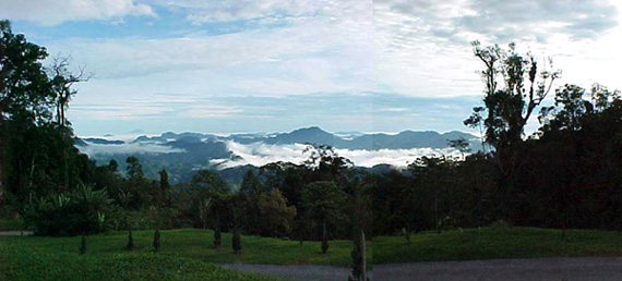 bhr-selected01 copy.jpg (70200 bytes)